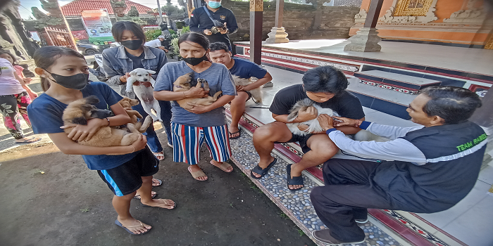 Vaksinasi HPR kembali digenjot Dinas Pertanian (Distan) Kota Denpasar.