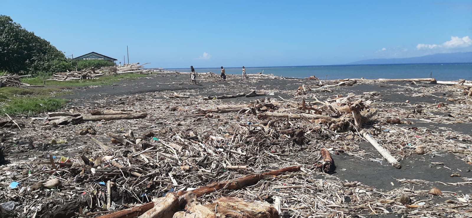 SAMPAH KAYU: Tumpukan sampah kayu di Pantai Jumpai, Desa Jumpai, Kecamatan Klungkung , Minggu (9/7/2023)