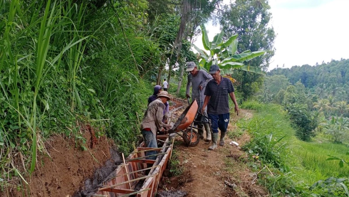 SWADAYA: Proses perbaikan jaringan 14 saluran irigasi tersier di Buleleng