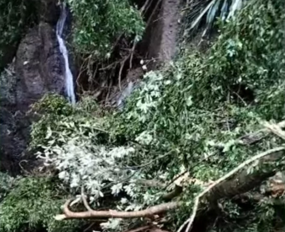 DAMPAK LONGSOR: Longsor dan pohon tumbang akibatkan gangguan di sumber MA Tanah Wuk, Abiansemal pada Sabtu (8/7).
