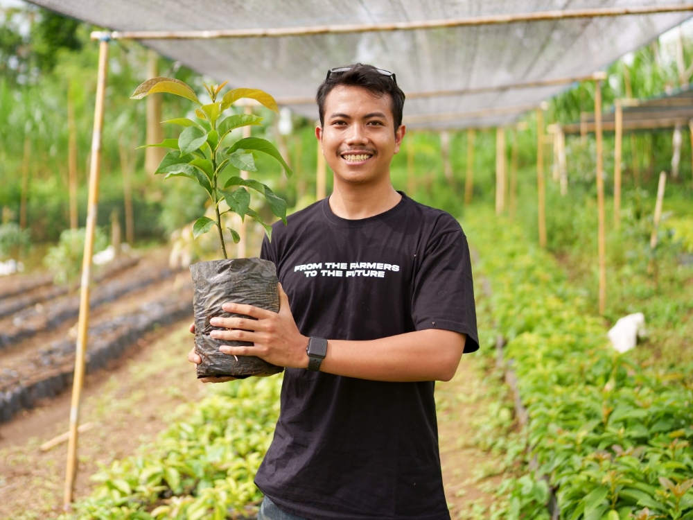 Made Indra Dananjaya