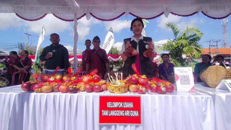 HARGA SEDANG BAGUS : Buah manggis hasil Kelompok Tani Langgeng Ari Guna Desa Mundeh Kangin, Pupuan, Tabanan yang ditampil di pasar Rakyat, Gedung Kesenian I Ketut Mario Tabanan.