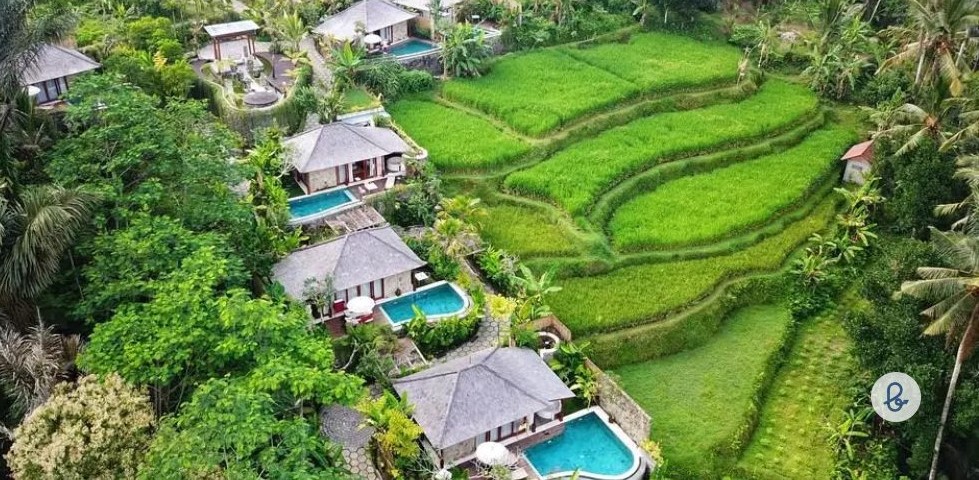 GASTRONOMI: Salah satu panorama dengan lkeindahan terasering di Ubud - Gianyar