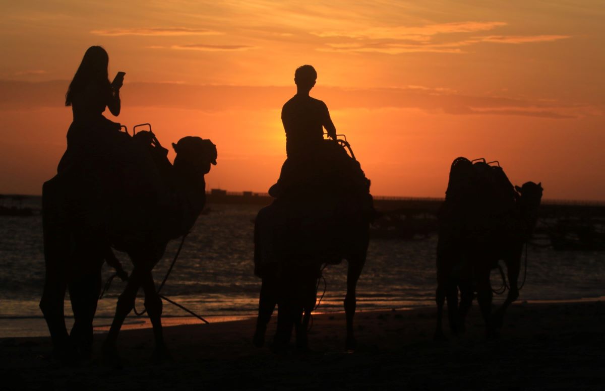 NAIK UNTA DI BALI : Sejumlah wisatawan menikmati sunset sambal naik unta di Pantai Kelan, Tuban, Kuta.