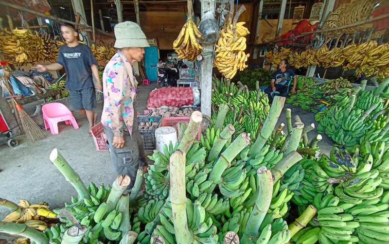 HARGA LANGSUNG NAIK : Pasar buah pisang di Ubung Kaja, di Jalan Gunung Galunggung,  Denpasar naik drastis menjelang perayaan Galungan.
