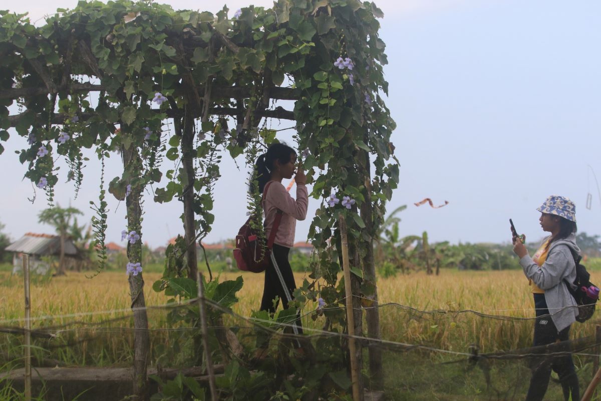 OASE DI TENGAH KOTA: Pengunjung terlihat berfoto di Desa Wisata Kesiman Kertalangu. Desa ini jadi rujukan kunjungan wisatawan lokal dan domestik, karena lokasinya yang mudah diakses.