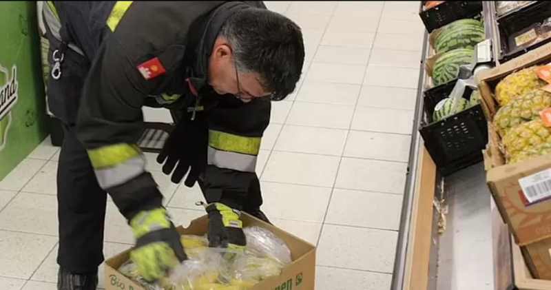 WASPADA LABA-LABA BERACUN EFEK EREKSI: Petugas tengah memeriksa buah untuk mencari laba-laba beracun di supermarket Penny di wilayah Krems an der Donau, Austria. (Daily Mail)