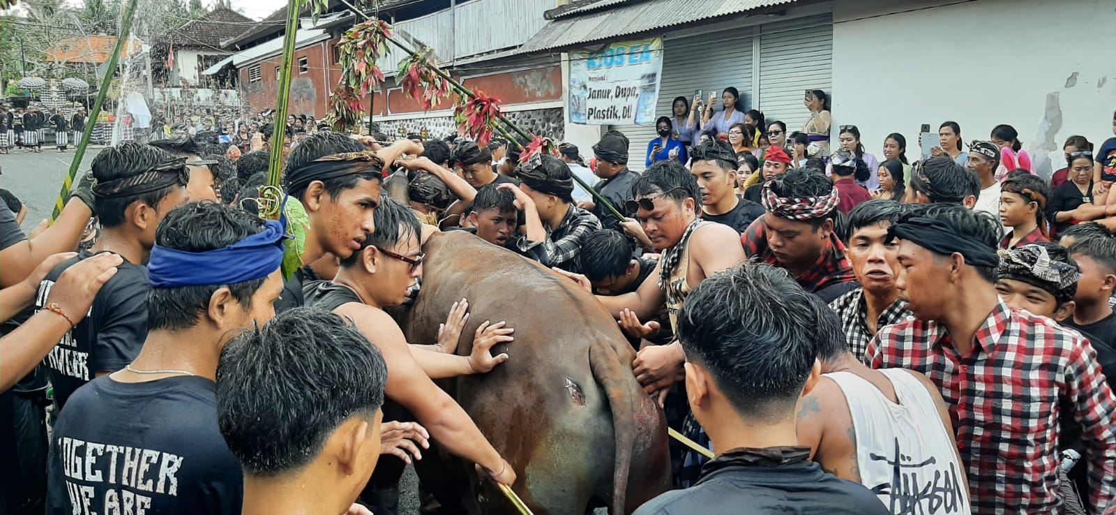 TRADISI TAHUNAN: Desa Pakraman Besang Kawan Tohjiwa, Kelurahan Semarapura Kaja, Klungkung gelar Mejaga-jaga, Selasa (15/8/2023)