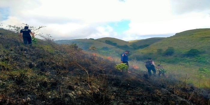 Petugas gabungan berupaya memadamkan api di Bukit Teletubis, Nusa Penida.