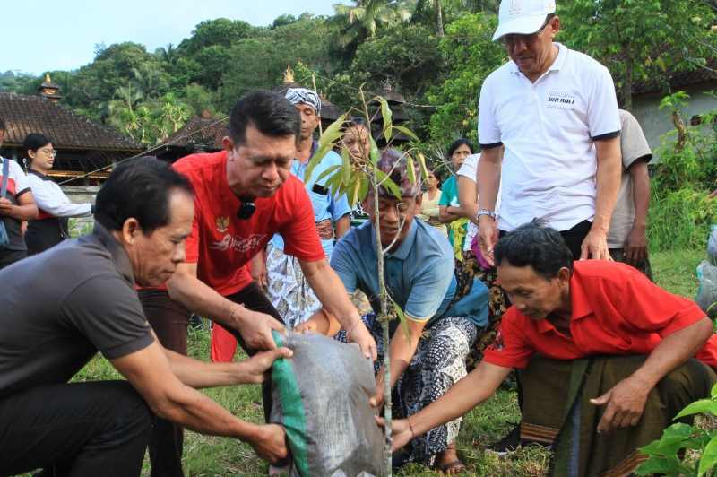 ANDALKAN BUAH-BUAHAN : Penanaman buah durian unggulan di Desa Besan, Klungkung. (istimewa)