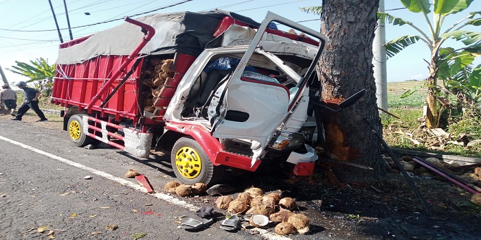 Truk menabrak pohon perindang jalan karena menghindari kendaraan lain, Senin (11/9) pagi.