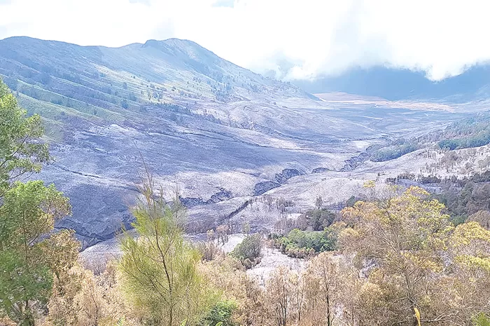 HANGUS RATUSAN HEKTARE: Kondisi terakhir kawasan sabana Gunung Bromo setelah mengalami kebakaran hebat. (JAWA POS RADAR BROMO)