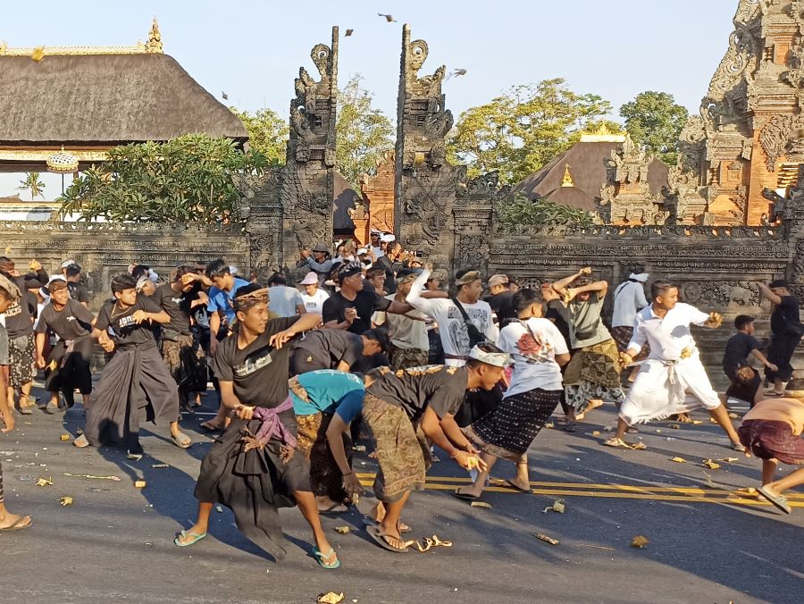 JAGA SOLIDARITAS: Masyarakat Desa Adat Kapal Mengwi Badung saat melaksanakan tradisi Perang Ketupat atau Siat Tipat Bantal, Jumat (29/9/2023)