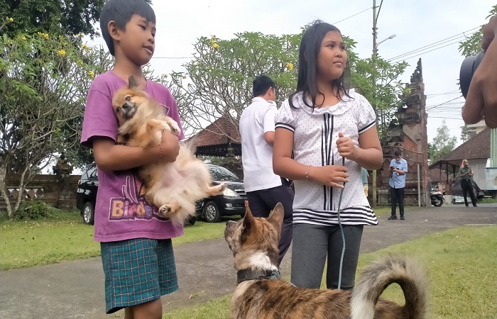 Suasana vaksinasi anjing peliharaan warga yang dilakukan bidang peternakan dan kesehatan hewan Dinas Pertanian Tabanan.