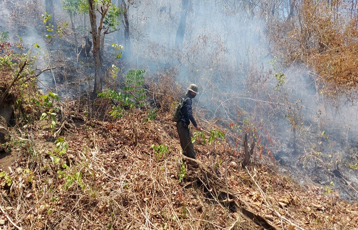 Regu pengendali kebakaran KPH Bali Utara masih berusaha memadamkan api di kawasan hutan Desa Banyupoh, Kecamatan Gerokgak.