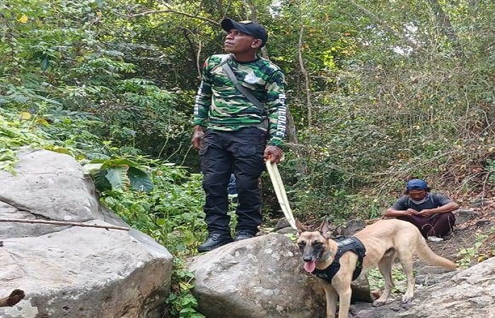 Patroli Polhut mencari jerat satwa di TNBB melibatkan anjing pelacak.