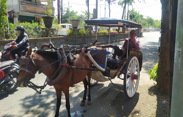 Dokar parkir Pasar Ijogading Negara. Dalam perda pajak dan retribusi yang baru, retribusi parkir sepeda dan dokar ditiadakan.