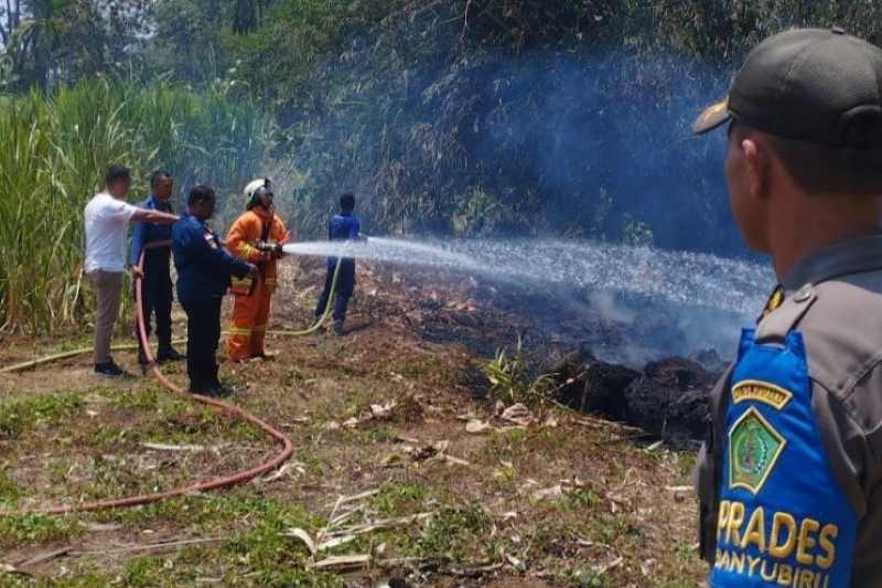 TAK KENAL LELAH: Anggota pemadam kebakaran memadamkan api di sebuah lahan di Kabupaten Jembrana belum lama ini.(foto: damkar-satpol pp jembrana)