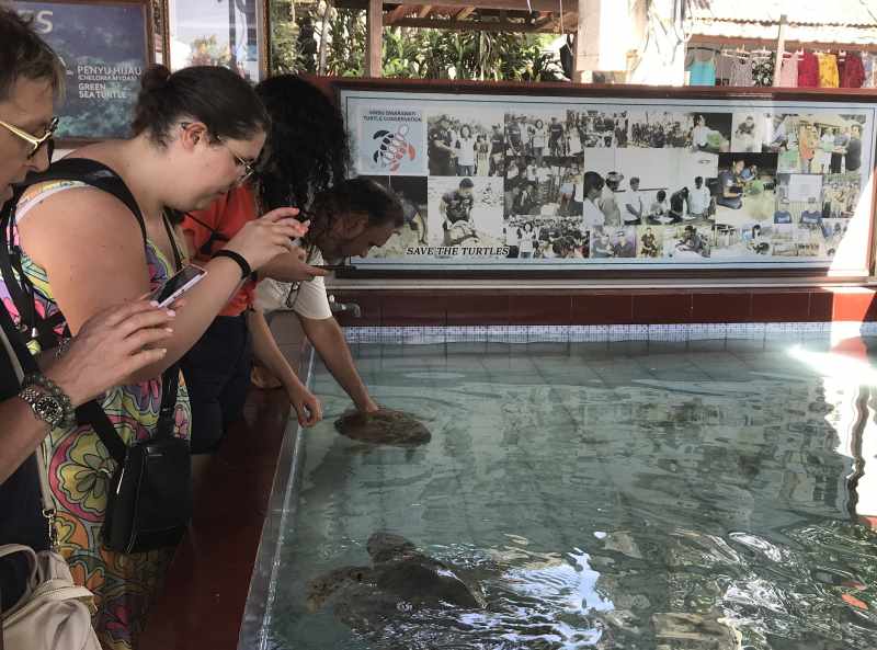 PELESTARIAN DAN WISATA : Sejumlah wisatawan asing berkunjung ke Sindu Dwarawati Turtle Conservation di Pandai Sindu, Sanur. (miftahuddin m.halim/radar bali)