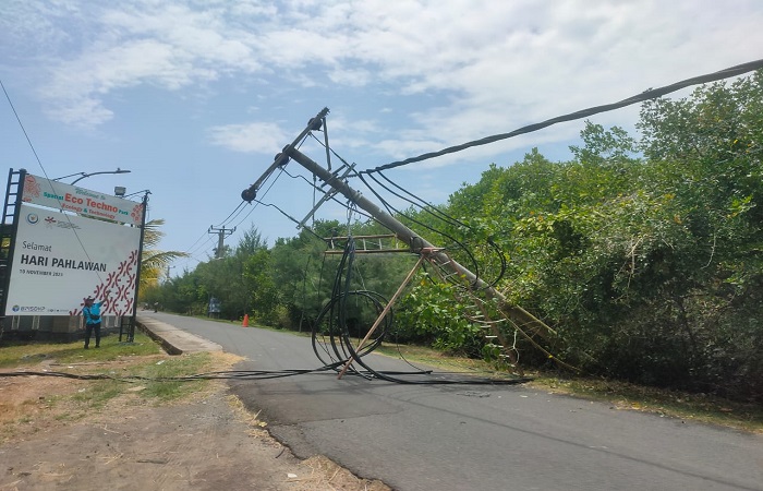 Tiang listrik yang roboh langsung ditangani PLN Negara.