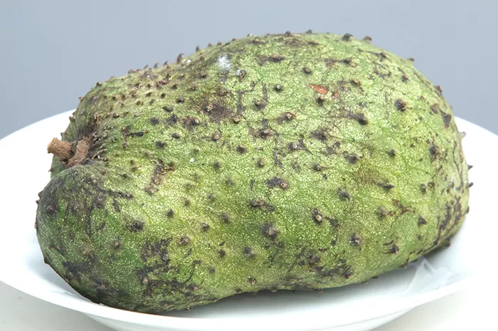 BANYAK MANFAAT : Buah sirsak (Angger Bondan/Jawa Pos)