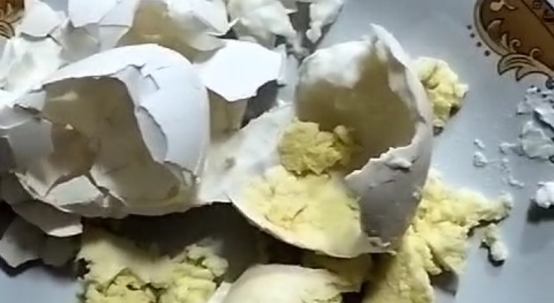 DIDUGA PALSU: Telur ayam kampung yang dilaporkan warga Panjer Denpasar diduga palsu.