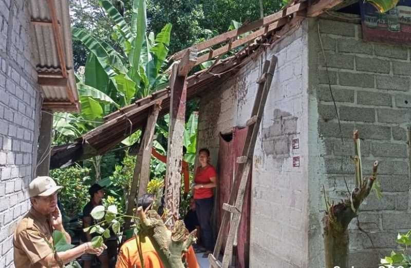 AMBRUK : Teras atap rumah yang ambruk, di Banjar Baler Bale Agung, Desa Dangin Tukad, Kecamatan Mendoyo. (BPBD Jembrana)
