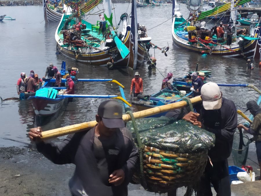 MENURUN: Produksi ikan di pelabuhan rakyat Pengambengan Jembtana dan menurun