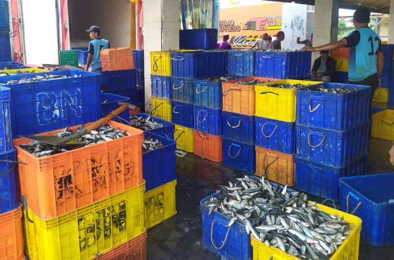 SELALU SIBUK : Aktivitas pelelangan ikan di PPN Pengambengan, Desa Pengambengan, Negara,Jembrana, yang akan ditingkatkan jadi pelabuhan perikanan internasional.(m.basir)