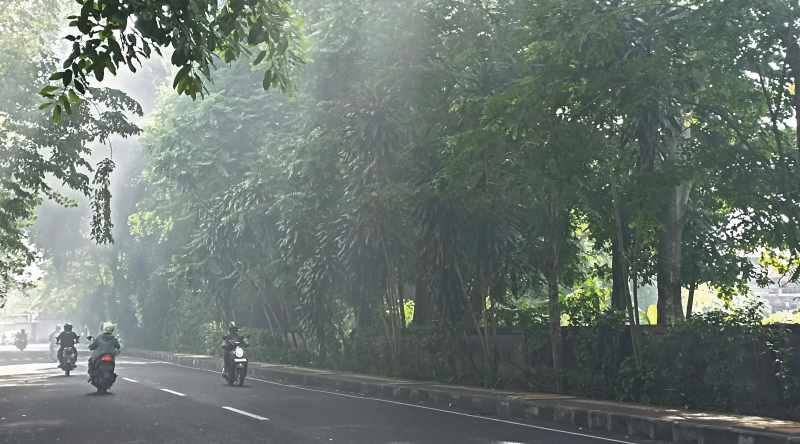 BIKIN RINDANG: Pohon perindang di kawasan jalan Raya Puputan memberikan manfaat sebagai peneduh dan juga penghalang silau dari cahaya matahari bagi para pengguna jalan. (adrian suwanto)