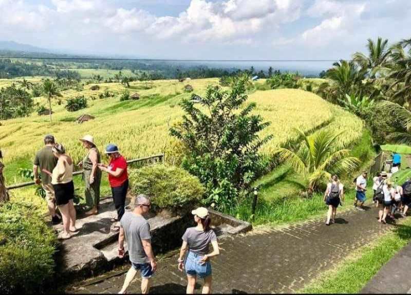 PUNYA SEGMEN TERSENDIRI : Kunjungan Wisatawan ke Jatiluwih, Penebel Tabanan.(juliadi/radar bali)