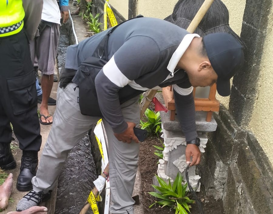 OLAH TKP: Polisi sedang melakukan olah TKP di lokasi tewasnya Made sang tukang kebun di Magening, Desa Cemagi Kec Mengwi, Badung.