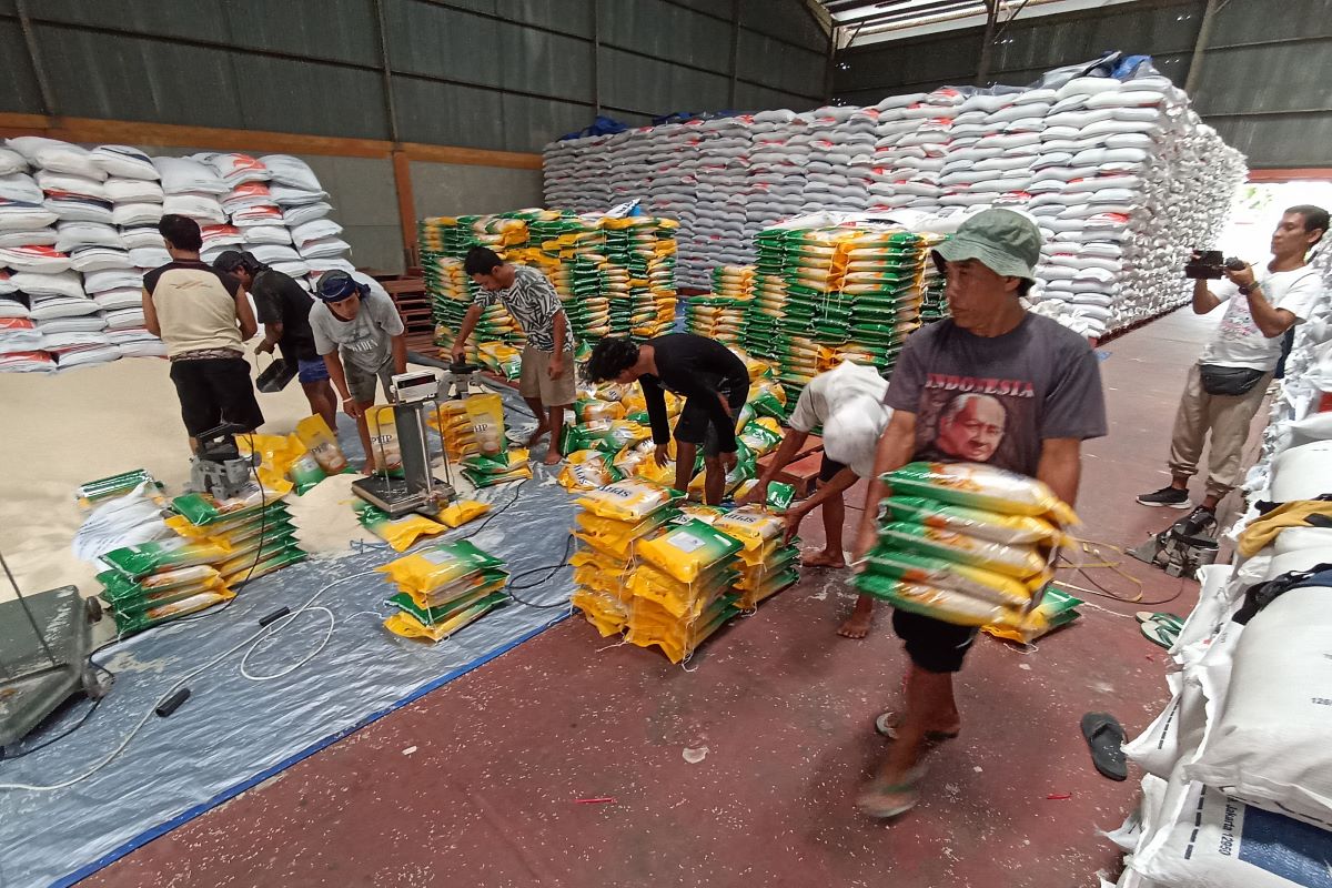 MENIPIS: Stok beras di gudang Bulog, Sempidi, Mengwi Badung Bali semakin menipis