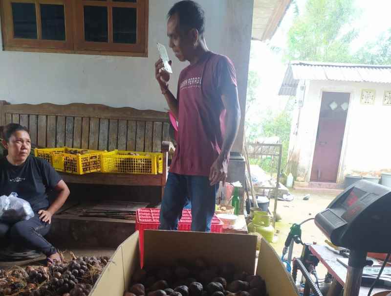 NIKMATI HASIL PANEN : Hasil buah salak dari para petani di Desa Munduk Temu, Pupuan Tabanan. (juliadi/radar bali).
