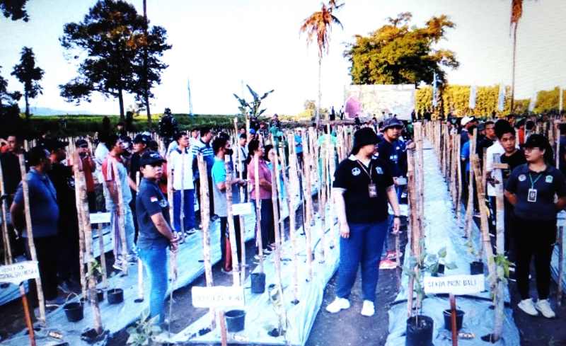 UPAYA KURANGI INFLASI : Penanaman cabai perdana di lahan seluas dua  hektare milik Pemkab Buleleng. Ini dilakukan sebagai langkah antisipasi inflasi. (Foto: Prokom Buleleng untuk Radar Bali)