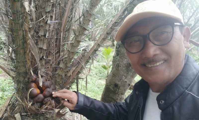 DI KEBUN SALAK : Perbekel Desa Munduk Temu, Pupuan I Gusti Made Arsana.(juliadi/radar bali)