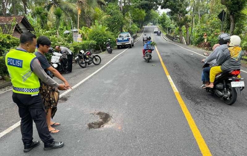 OLAH KEJADIAN : Polisi melakukan olah TKP kecelakaan maut tabrak lari di Jalan Denpasar - Gilimanuk, Desa Melaya. (Satlantas Polres Jembrana)
