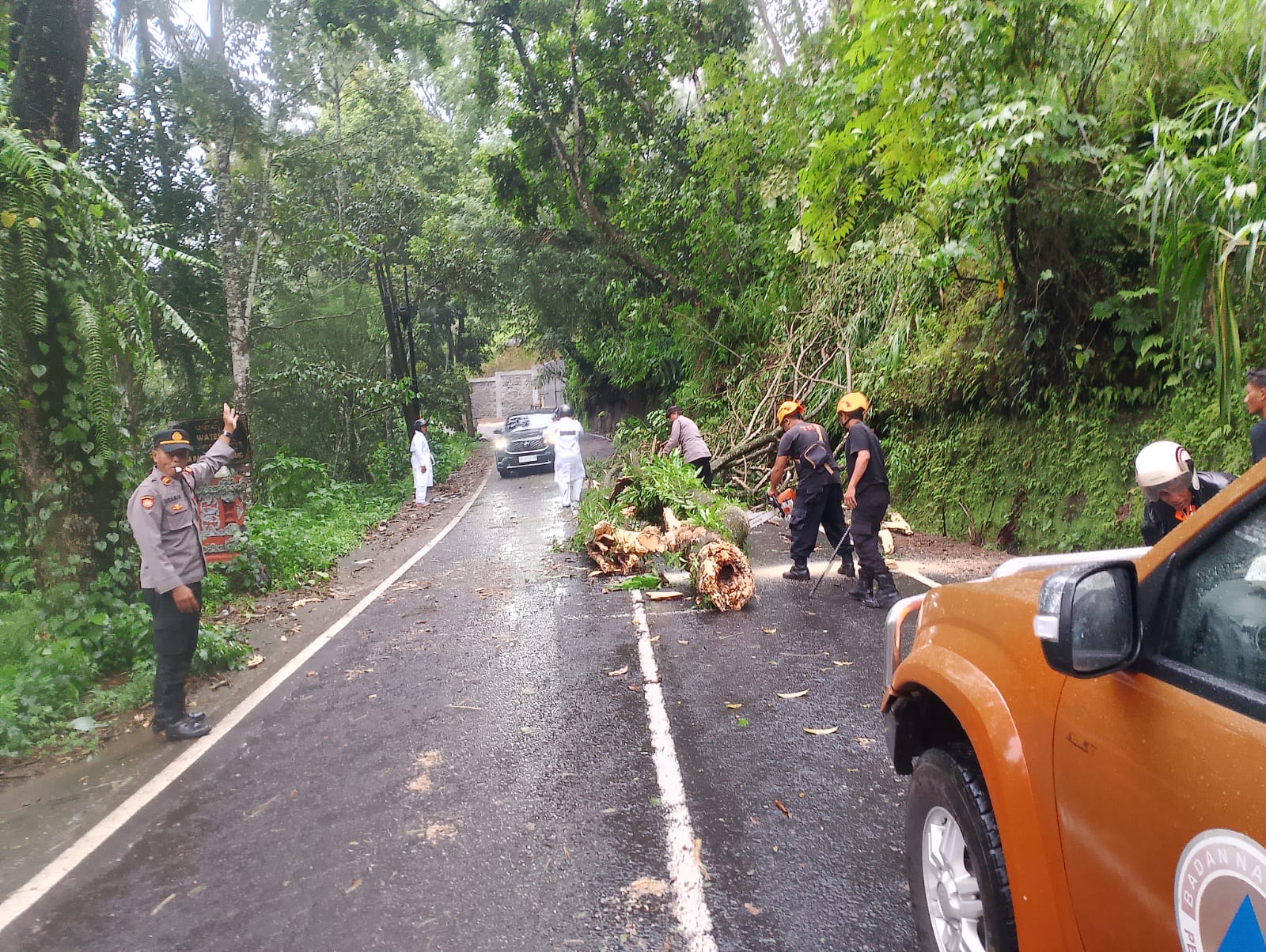 BERSIHKAN JALAN : Tim gabungan saat melakukan penanganan pohon tumbang yang menimpa akses jalan di Banjar Dinas Langsat, Desa Rendang, Kecamatan Rendang. (Istimewa)