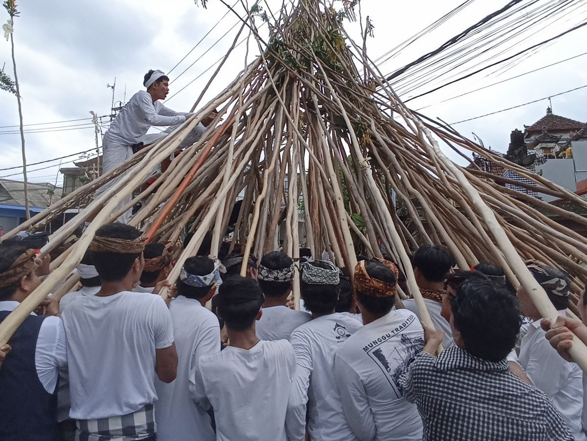 TRADISI UNIK: Mekotek salah satu tradisi tolak bala dari Desa Munggu, Mengwi, Kabupaten Badung, Bali, Sabtu (9/3/2024) Upacara Mekotek dilaksanakan dengan tujuan memohon keselamatan.