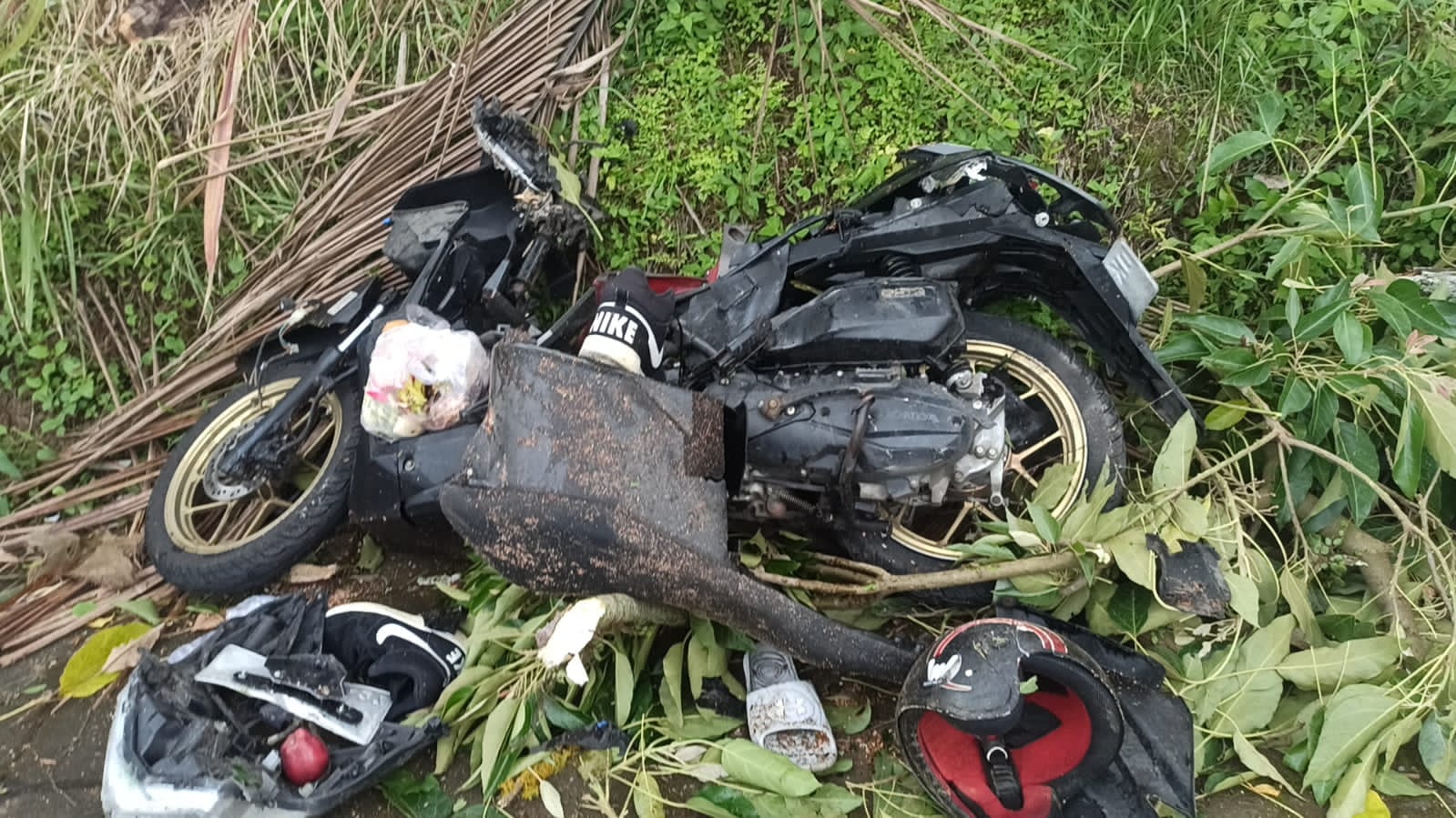 TAKDIR: Sepeda motor Honda Vario  ringsek karena tertimpa pohon, di Banjar Kiadan, Desa Pelaga, Petang, Badung, pada Rabu (13/3/2024).