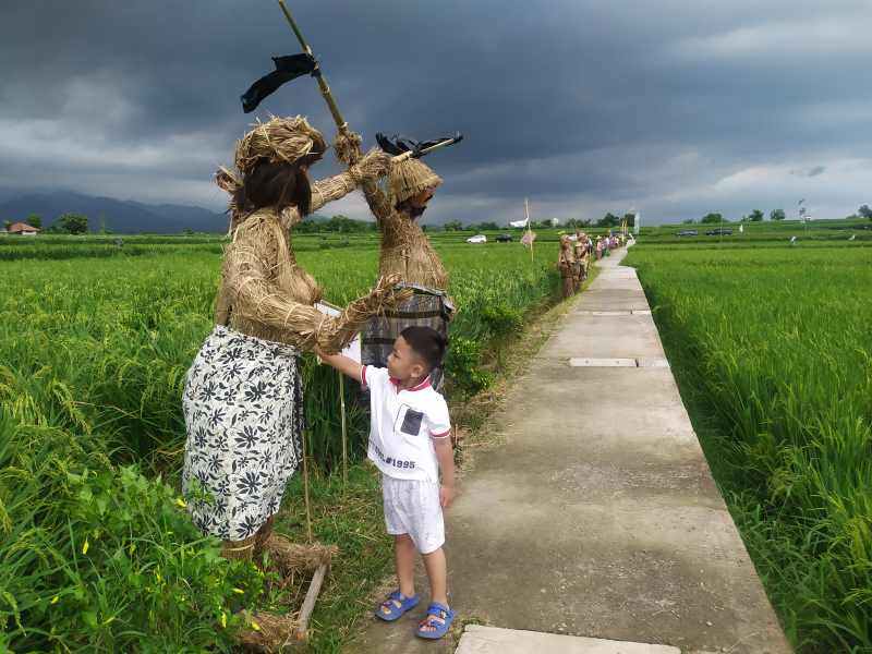 ADA FILOSOFINYA : Lelakut di areal sawah Subak Tegal Berkis, Desa Kaliakah, Kecamatan Negara.(m.basir/radar bali)
