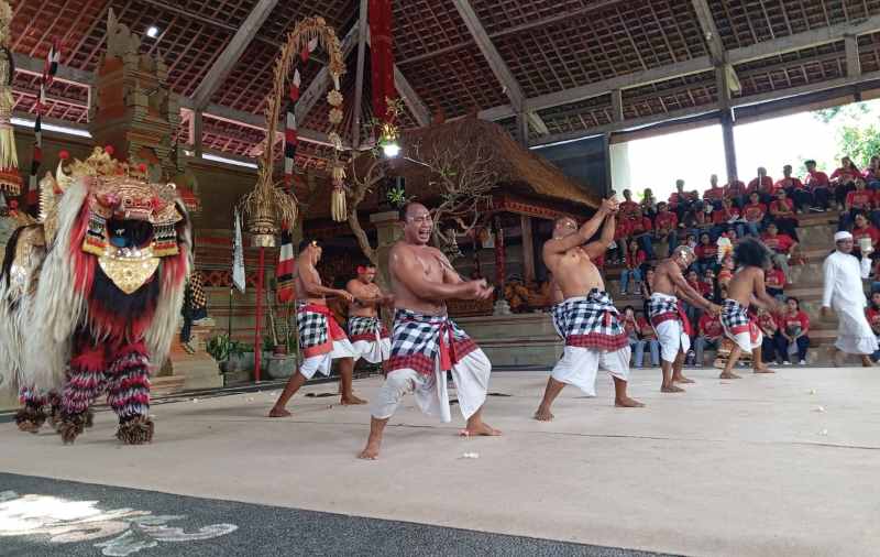 TAMPIL MEMIKAT : Penampilan barong dan penari keris di wantilan desa adat Guwang memukau para penonton.(foto:desa adat guwang untuk radar bali)