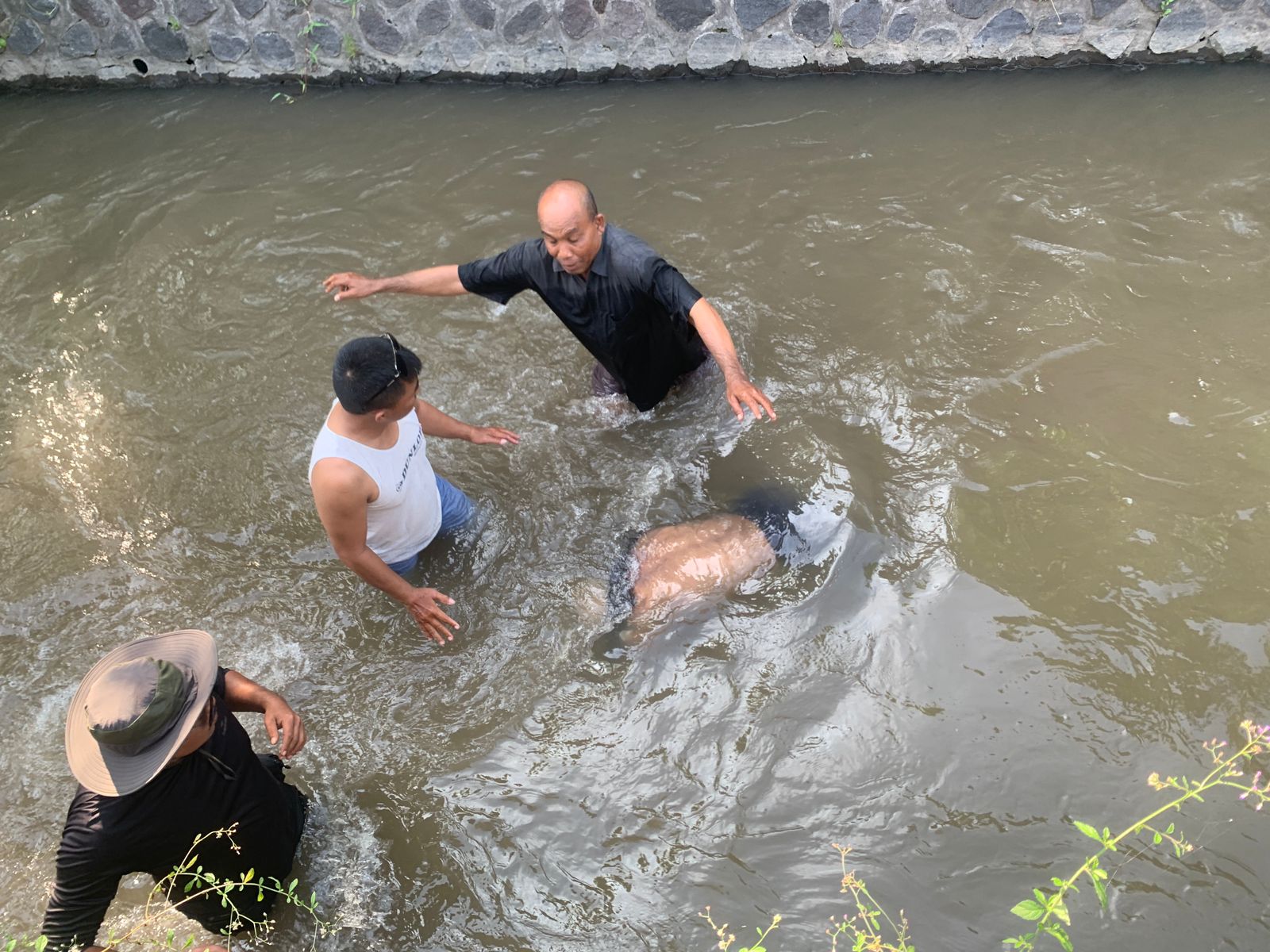 PERGI TANPA PAMIT: Kakek Gung Mayun ditemukan warga mengambang di sungai Ayung Abianbase Mengwi Badung (27/3/2024)