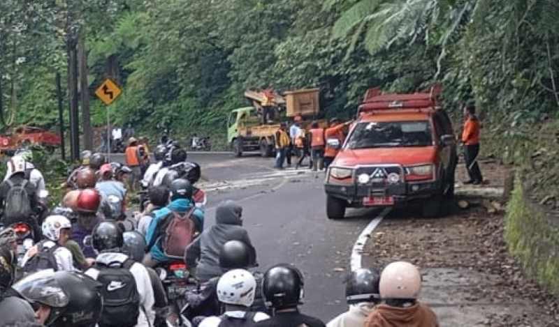 CEGAH POHON TUMBANG : Langkah antisipasi pohon tumbang di Jalan Raya Singaraja-Denpasar di arah puncak Wanagiri. (Polsek Sukasada untuk Radar Bali)