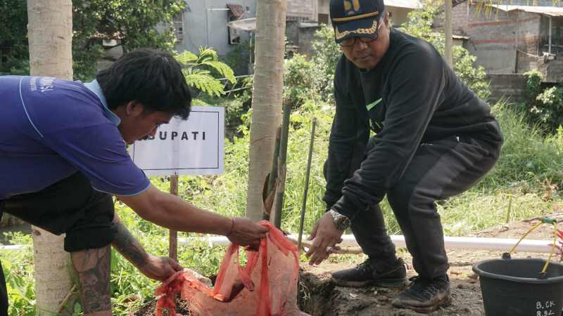 TANAMAN PELINDUNG TANAH: Ratusan bambu ditanam di Hutan Kota Banyuasri. Bambu dipilih lantaran memberikan sejumlah efek positif bagi lingkungan.(francelino junior)