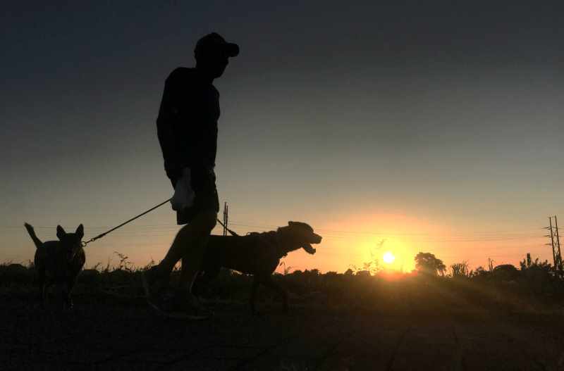 DIAJAK  BEROLAHRAGA TUANNYA : Anjing diajak jogging sore di kawasan Subak Prapat Beris, Sanur Kauh, Denpasar. (miftahuddin/radar bali)