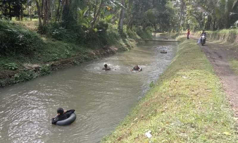 MULAI SEMARAK : Suasana wisata tubing yang dikembangkan oleh Desa Gadungan, Selemadeg Timur, Tabanan di saluran irigasi subak Tangguntiti.(juliadi/radar bali)