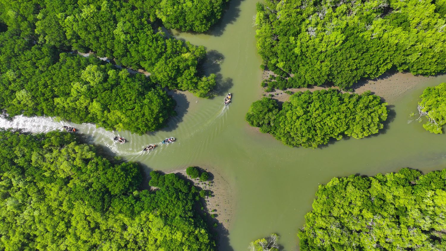PERLU PERHATIAN: Foto Drone kawasan Mangrove di pesisir utara Subang Jawa Barat