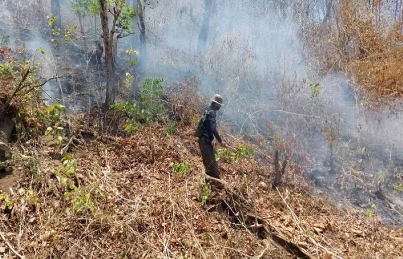 PERLU WASPADA : Kebakaran hutan dan lahan di Banyupoh,Gerokgak, Buleleng,  tahun lalu. (dok.radar bali)