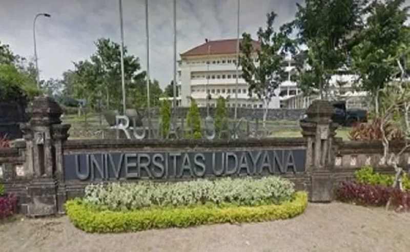 Ilustrasi Rumah Sakit Unud- Istimewa